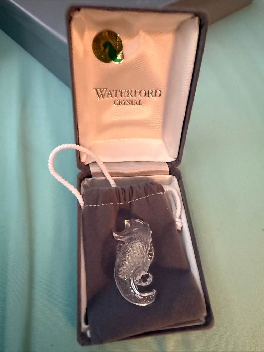 Crystal Seahorse pin in Jewelry Box